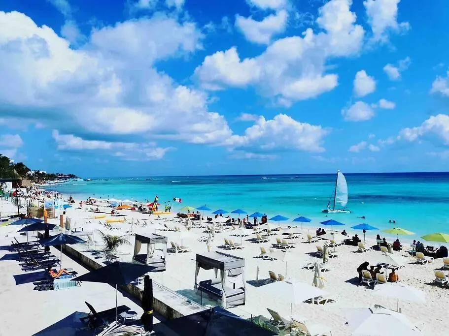 Διαμέρισμα 3 Bedroom Ocean View, Gym/Parking Πλάγια Ντελ Κάρμεν